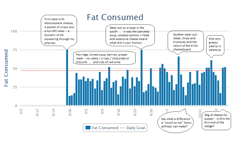 A life in Graphs #1 - Fat Chart